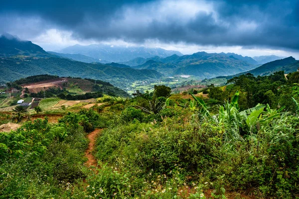 Cang Chai Krajina Terasovité Rýžové Pole Poblíž Sapa Severní Vietnam — Stock fotografie
