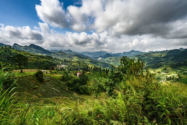 Güzel Vadideki Dağ Yolu Giang Bölgesi Vietnam — Stok fotoğraf