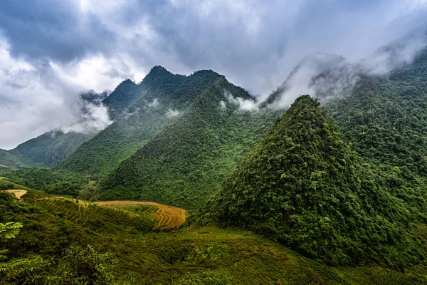 Route Montagne Dans Belle Vallée Province Giang Viêt Nam — Photo