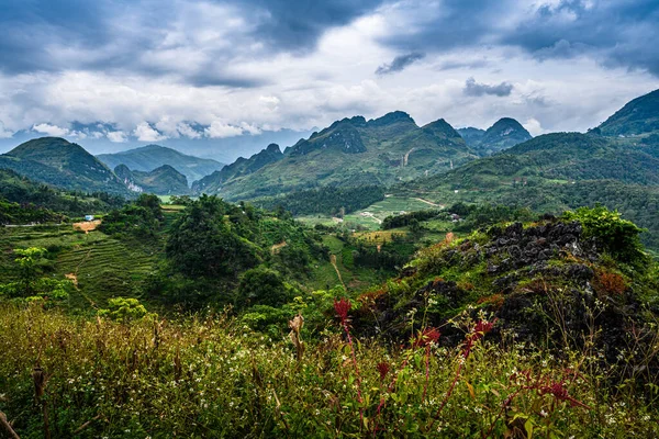 美丽山谷中的山路 哈江省 — 图库照片