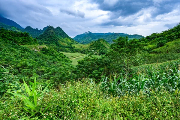 Güzel Vadideki Dağ Yolu Giang Bölgesi Vietnam — Stok fotoğraf