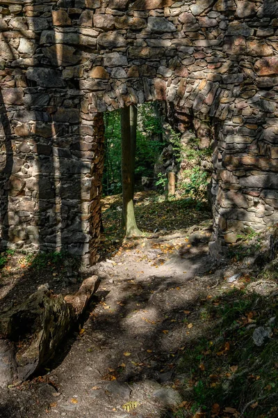 Çek Cumhuriyeti bölgesinin güzel yeşil manzarası Vysocina