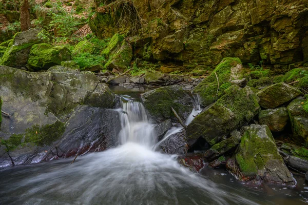 Bellissimo Paesaggio Verde Diversificato Della Repubblica Ceca Regione Vysocina — Foto Stock