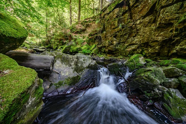 Bellissimo Paesaggio Verde Diversificato Della Repubblica Ceca Regione Vysocina — Foto Stock