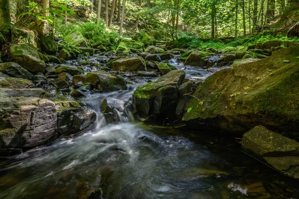 Bellissimo Paesaggio Verde Diversificato Della Repubblica Ceca Regione Vysocina — Foto Stock