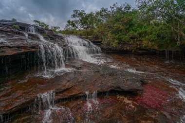 Kolombiya 'daki gökkuşağı nehri ya da beş renk nehri en güzel doğa yerlerinden biridir, adı Kristal Kanyon' dur.
