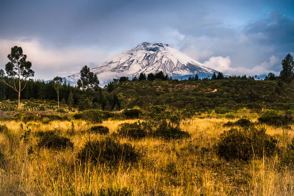 Vielfältige Zentrale Landschaft Mit Bergen Von Tälern Und Schluchten Südamerika — Stockfoto