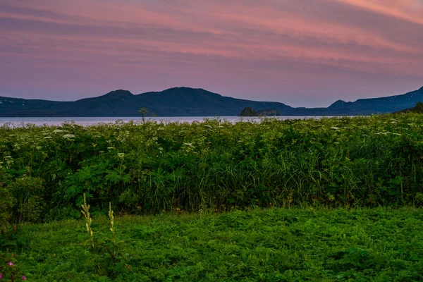 Petropavlovsk Kamçatsky Kentinin Panoramik Manzarası Volkanlar Koryaksky Volkanı Avacha Volkanı — Stok fotoğraf