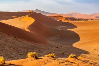 Ölü Camelthorn ağaç kırmızı tepeleri ve Deadvlei, Sossusvlei mavi gökyüzünde karşı. Namib-Naukluft Milli Parkı, Namibya, Afrika