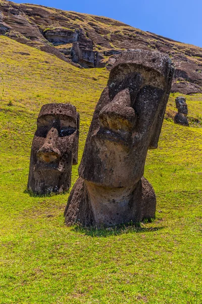 智利拉帕努伊国家公园复活节岛上拉帕努阿库火山的莫埃雕像 — 图库照片