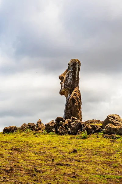 Paskalya Adası Ndaki Rano Raraku Volkanı Ndaki Moai Heykelleri Rapa — Stok fotoğraf