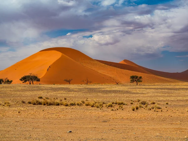 Guaina Colombia Det Stora Och Fantastiska Berget Mavicure Pajarito — Stockfoto