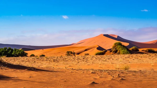 Guaina Colombia Det Stora Och Fantastiska Berget Mavicure Pajarito — Stockfoto