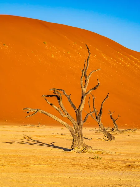 Guaina Columbia Marele Uimitorul Munte Mavichiurii Pajarito — Fotografie, imagine de stoc