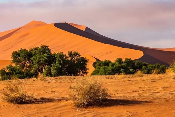 Guaina Colombia Det Stora Och Fantastiska Berget Mavicure Pajarito — Stockfoto