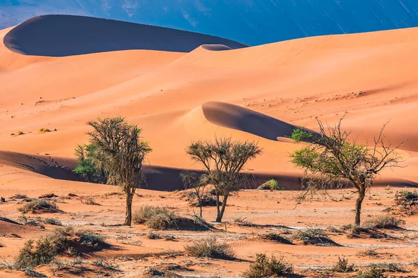 Guaina Colombia Grote Verbazingwekkende Berg Van Mavicure Pajarito — Stockfoto