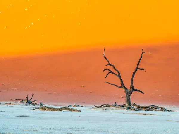 Guaina Colômbia Grande Incrível Montanha Mavicure Pajarito — Fotografia de Stock