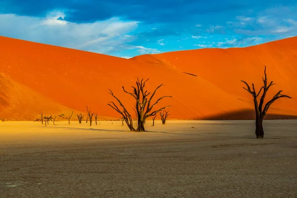 对红色的沙丘和蓝蓝的天空 Deadvlei 苏斯的死 Camelthorn 诺克国家公园 纳米比亚 — 图库照片