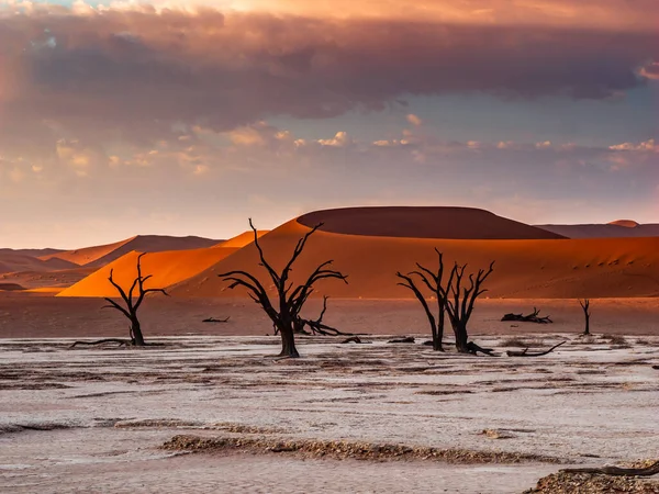Dead Camelthorn Trees Red Dunes Blue Sky Deadvlei Sossusvlei Namib — Stock Photo, Image