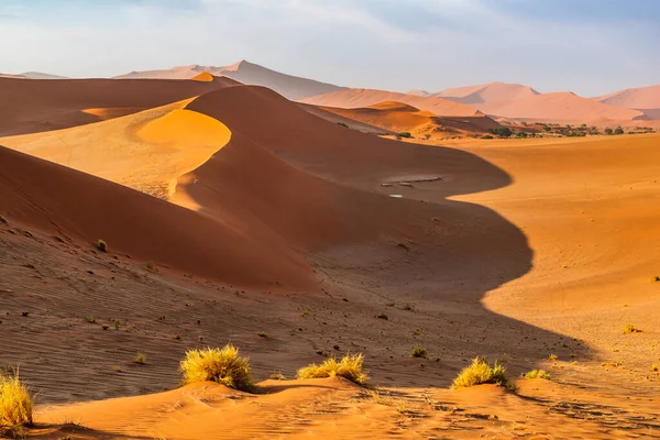 Dode Camelthorn Bomen Tegen Rode Duinen Blauwe Hemel Deadvlei Sossusvlei — Stockfoto