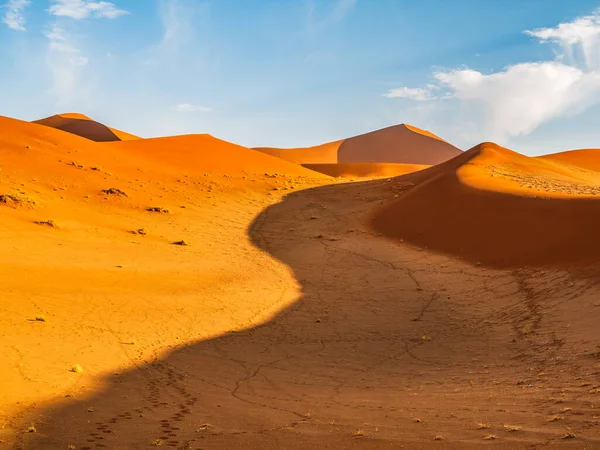 Dead Camelthorn Trees Red Dunes Blue Sky Deadvlei Sossusvlei Namib — Stock Photo, Image