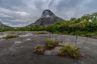 Guaina, Kolombiya. Mavicure 'un büyük ve inanılmaz dağı, Pajarito. 