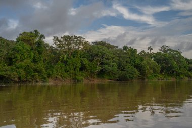 Amazon yağmur ormanları mükemmel ve güneşli bir günde
