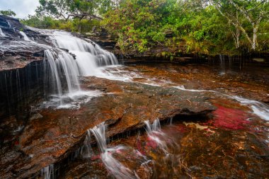 Kolombiya 'daki gökkuşağı nehri ya da beş renk nehri en güzel doğa yerlerinden biridir, adı Kristal Kanyon' dur.