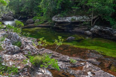 Kolombiya 'daki gökkuşağı nehri ya da beş renk nehri en güzel doğa yerlerinden biridir, adı Kristal Kanyon' dur.