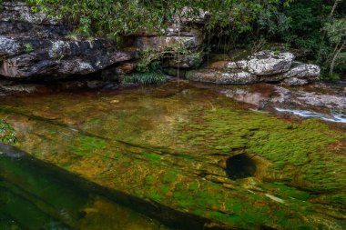 Kolombiya 'daki gökkuşağı nehri ya da beş renk nehri en güzel doğa yerlerinden biridir, adı Kristal Kanyon' dur.