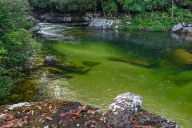Kolombiya 'daki gökkuşağı nehri ya da beş renk nehri en güzel doğa yerlerinden biridir, adı Kristal Kanyon' dur.