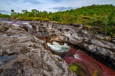Kolombiya 'daki gökkuşağı nehri ya da beş renk nehri en güzel doğa yerlerinden biridir, adı Kristal Kanyon' dur.
