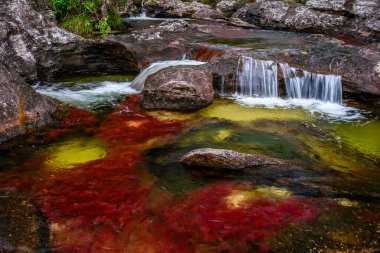 Kolombiya 'daki gökkuşağı nehri ya da beş renk nehri en güzel doğa yerlerinden biridir, adı Kristal Kanyon' dur.