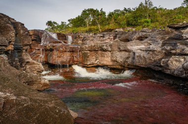 Kolombiya 'daki gökkuşağı nehri ya da beş renk nehri en güzel doğa yerlerinden biridir, adı Kristal Kanyon' dur.