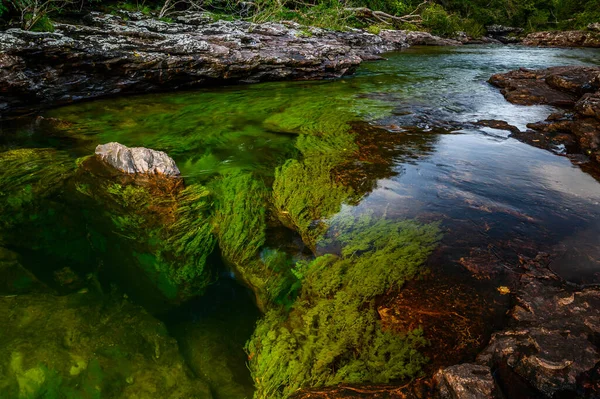 Fiume Arcobaleno Cinque Colori Fiume Colombia Uno Dei Luoghi Più — Foto Stock