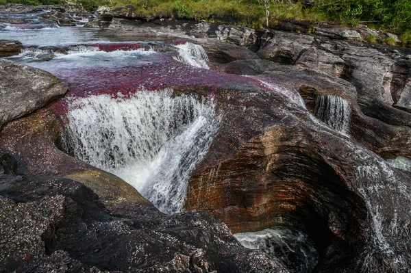 Regnbågsfloden Eller Fem Färger Floden Colombia Vackraste Naturområden Kallas Crystal — Stockfoto