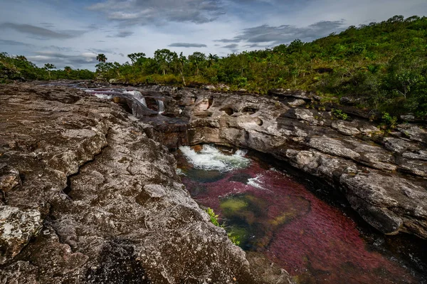 Rio Arco Íris Cinco Cores Rio Colômbia Dos Lugares Mais — Fotografia de Stock