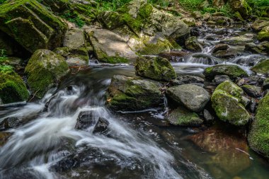 The picture shows a stream running through a forest that is filled with rocks and moss-covered boulders