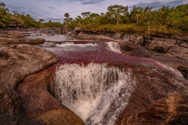 Kolombiya 'daki gökkuşağı nehri ya da beş renk nehri en güzel doğa yerlerinden biridir, adı Kristal Kanyon' dur.