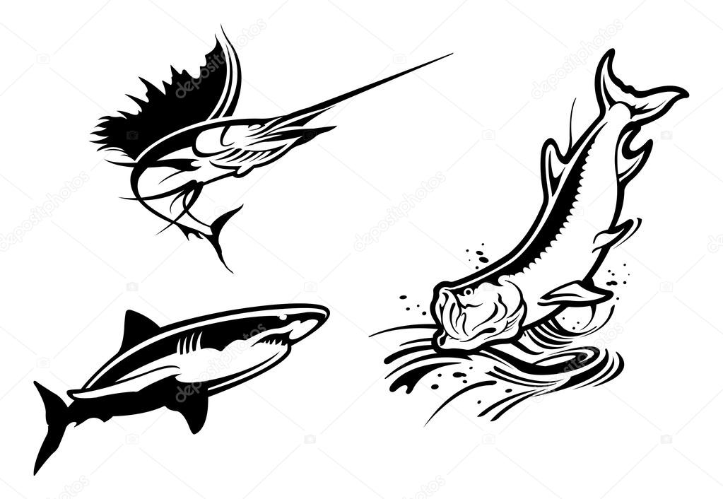 Illustration of Fish icons