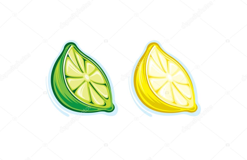 Lemon and lime slice