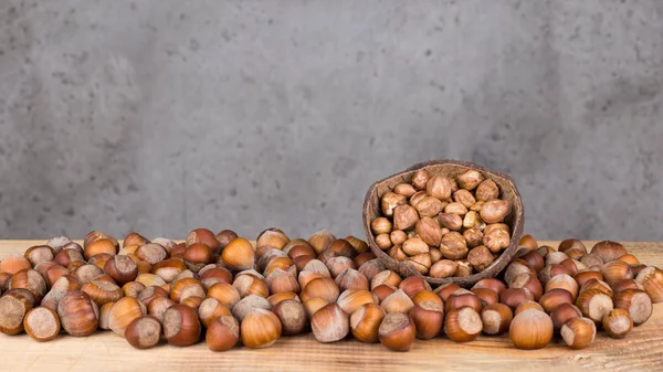 Selección de varios frutos secos — Foto de Stock