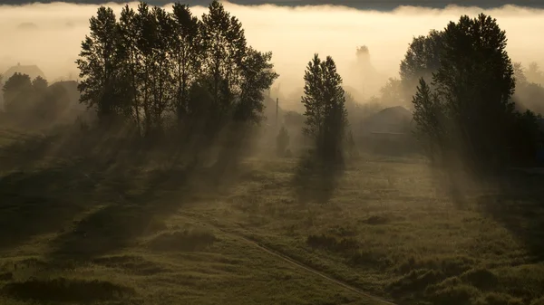 Early foggy morning — Stock Photo, Image
