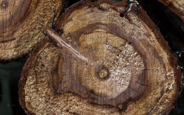 için arka plan dokusu