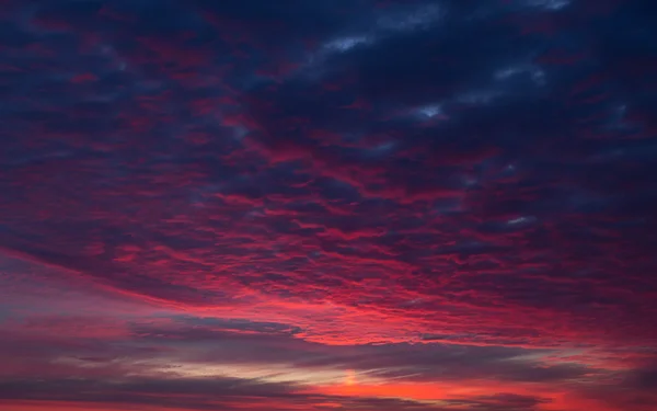 O céu brilhante da manhã — Fotografia de Stock