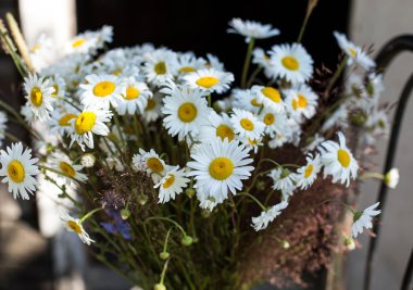 Papatyalar yaz buket.