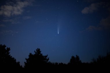 Yıldızlı gökyüzü bir kuyruklu yıldız ve diğer gök cisimleri ufukta ağaçların siluetleriyle.
