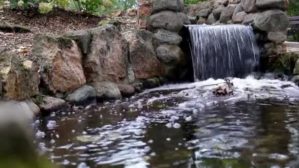 Cepat aliran dalam kaskade air terjun — Stok Video