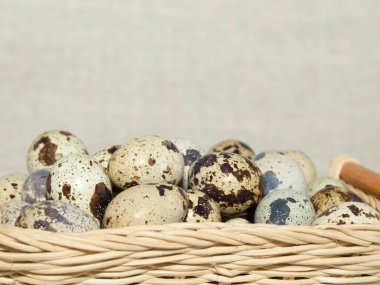 Taze bıldırcın yumurtaları, kaliteli beslenme için doğal ve çevre dostu bir ürün.