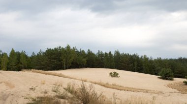 Sonbahar gökyüzünün altında kum tepeleri ve orman, kum ve parlak bulutlar